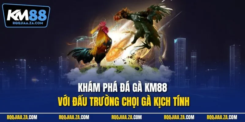 Khám phá đá gà KM88 với đấu trường chọi gà kịch tính